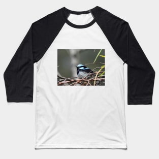 Superb Fairy Wren at the Laratinga Wetlands Baseball T-Shirt